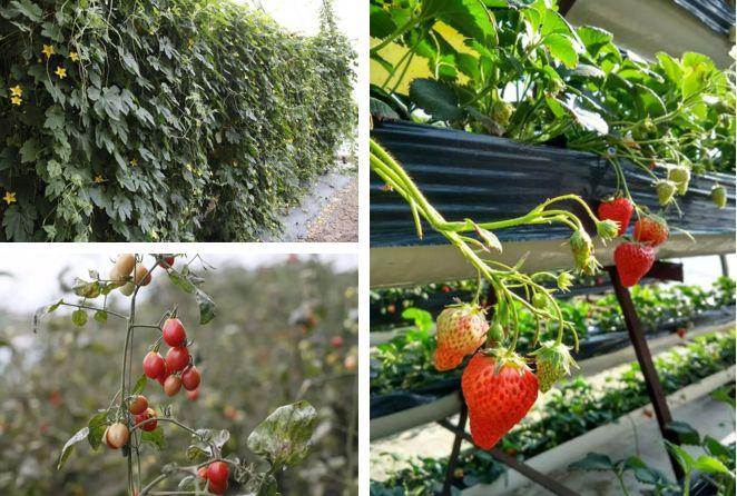 沈阳五一旅游攻略玩水,沈阳冬天周边游玩攻略