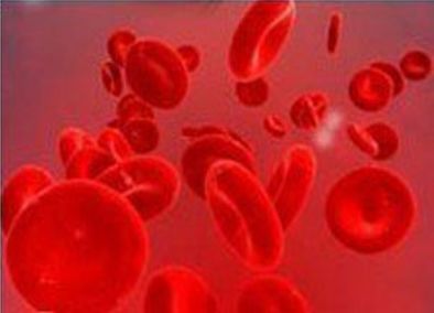 含维生素e和维生素k的食物,维生素e维生素c的八大功效