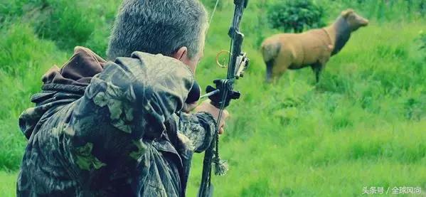 75年的男人都喜欢什么,男人7大爱好