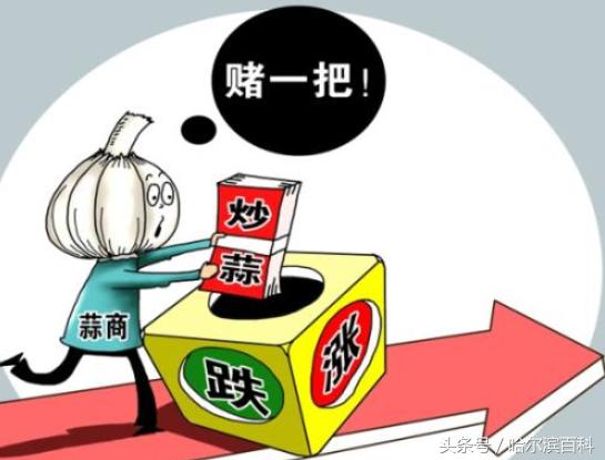 大蒜价格鲜蒜行情,回顾2017年大蒜价格行情