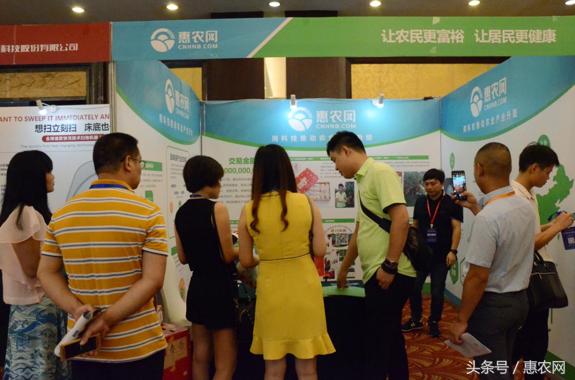 农村电商农业的新模式,农村农业电商新模式
