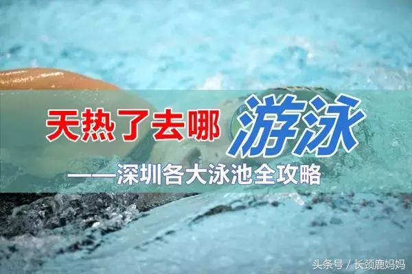 深圳十大游泳池,深圳哪里的游泳池比较好