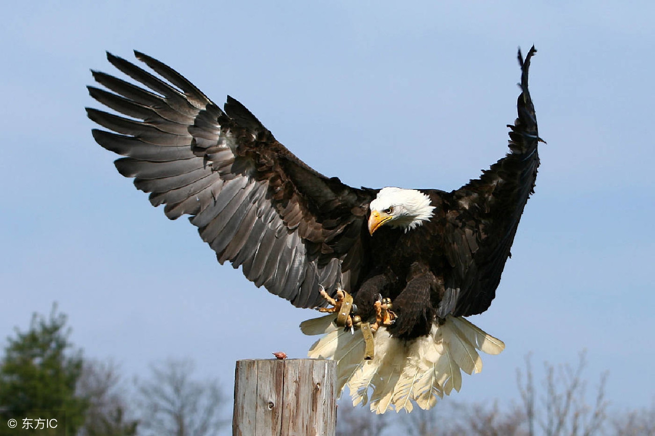 新领导上任必知的四大权衡手段,新领导要做的第一件事