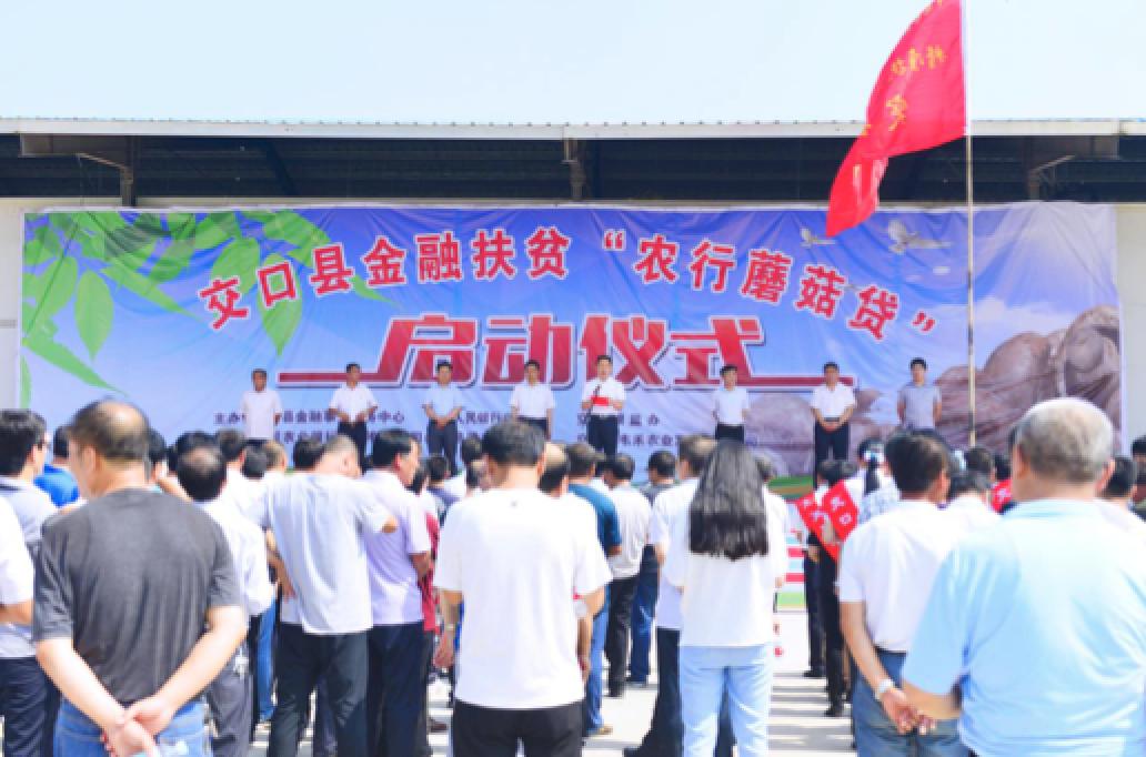 鑴辫传鏀诲潥鏀跨瓥灏忛淇¤捶,鑴辫传鏀诲潥灏忛淇¤捶鏀跨瓥