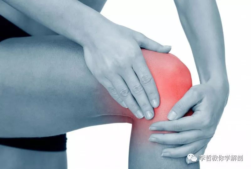 膝前痛的恢复方法,膝痛的诊断与治疗
