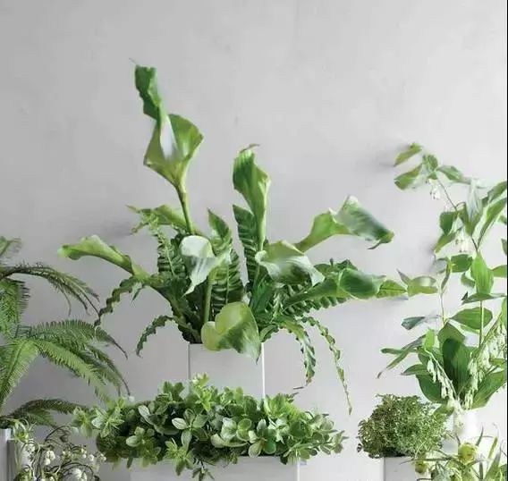 22年世界杯各国球衣,世界杯各国球衣上都有几颗星