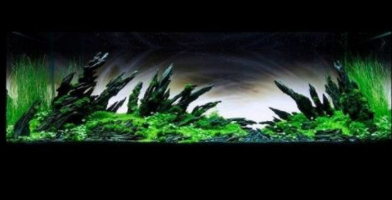 水草缸造景用什么石头,水草缸造景多少钱一套