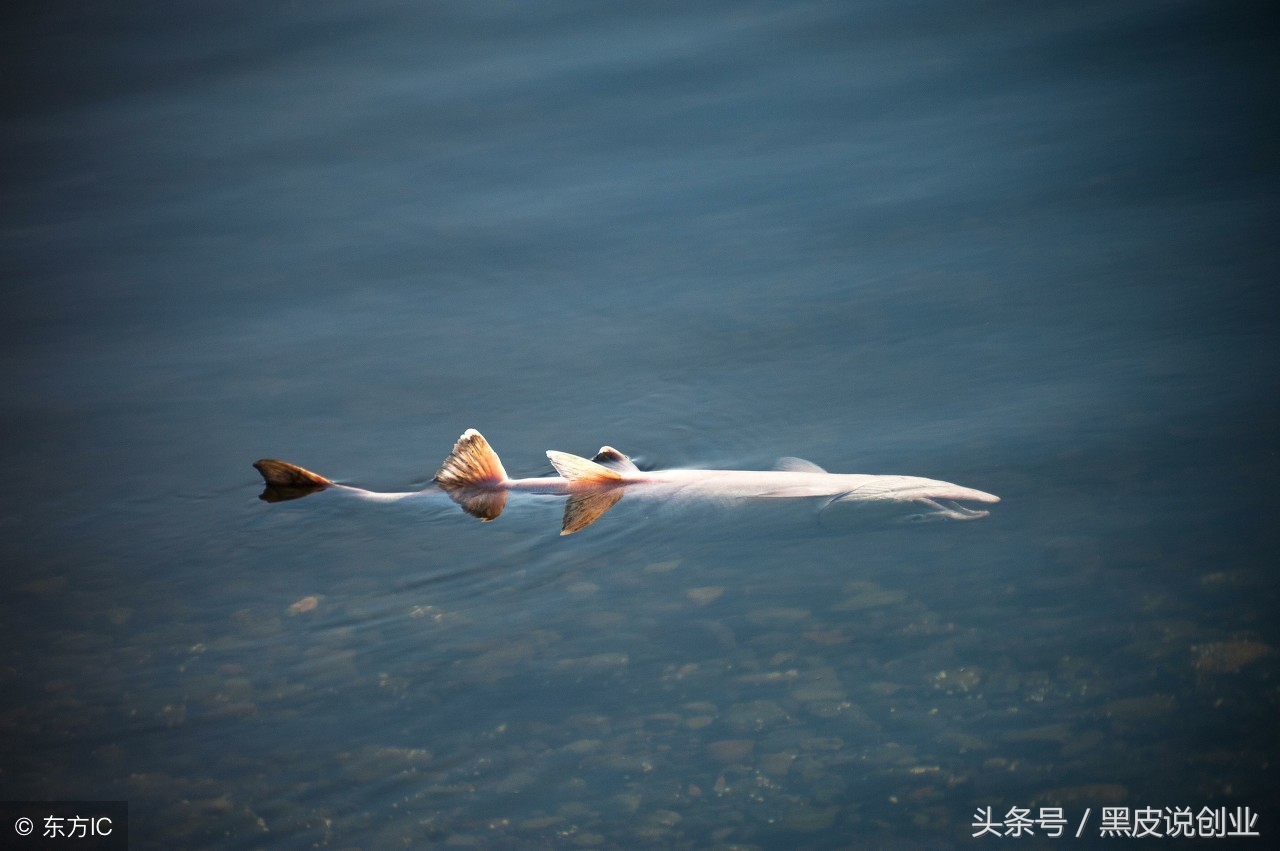 什么是互联网营销,什么是互联网简单介绍