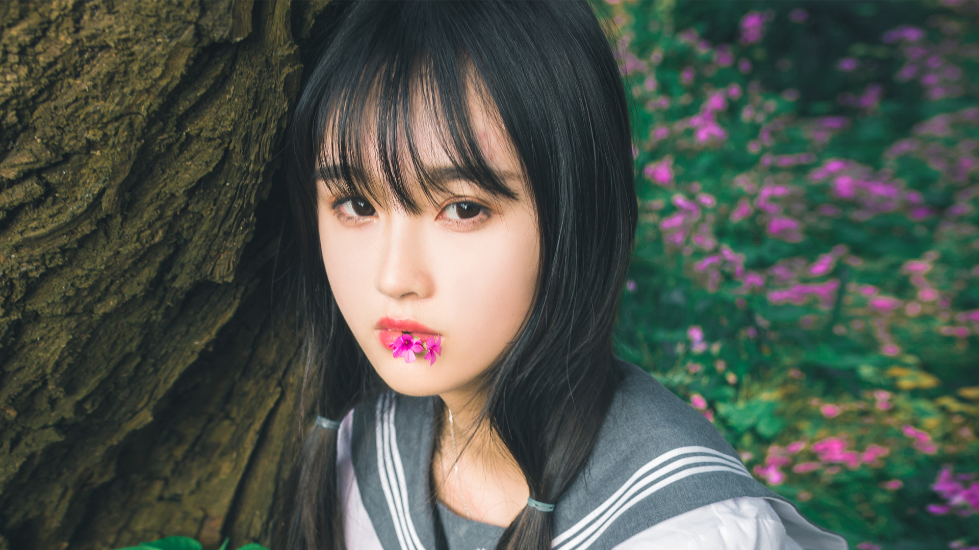 墙裂推荐榜,墙裂推荐