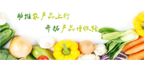 农业未来5年新模式,农业组织化的思考