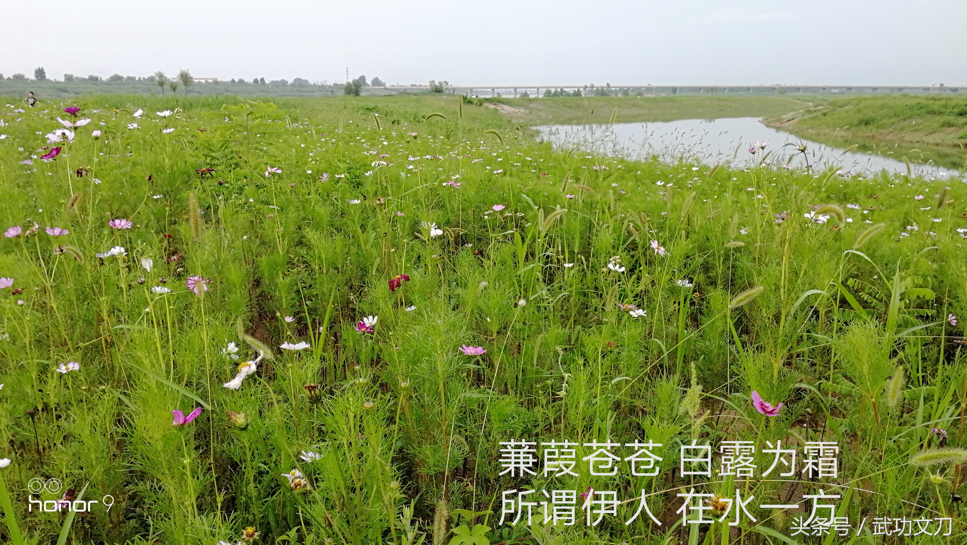 诗歌鉴赏知识小结,诗歌鉴赏解答技巧教学反思