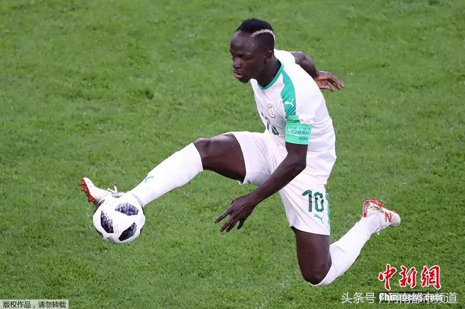 2022年世界杯最帅的发型,世界杯十大经典发型