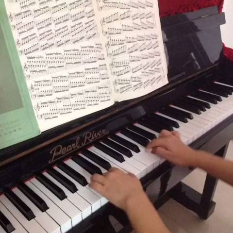 成人哈农钢琴练指法1到50条,哈农是专门练习指法的吗