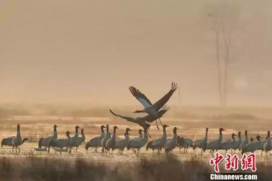 成都经济开发区最新规划 (成都有几个国家级经济开发区)