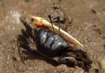 日照有什么好玩的地方,日照金山