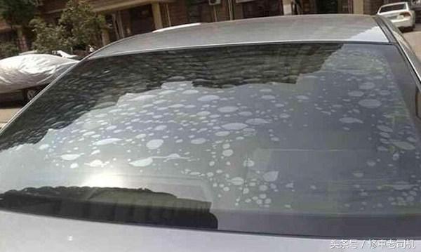 车膜在太阳下暴晒起泡怎么处理,汽车暴晒后车膜起皱怎么修复