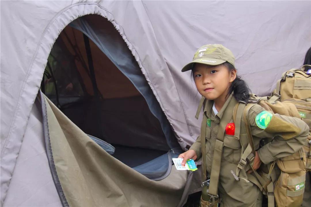 爱的本质是自由原唱,爱的本质是自由是勇敢