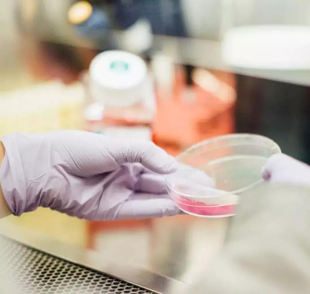 你拼命买的房，也许还不够垫医药费