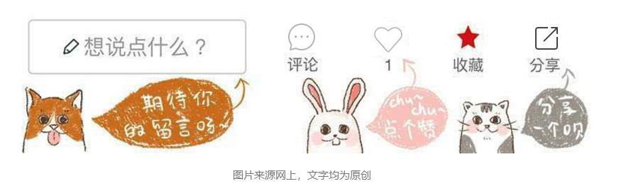 饲养博美常识大全,博美的饲养方法和注意事项