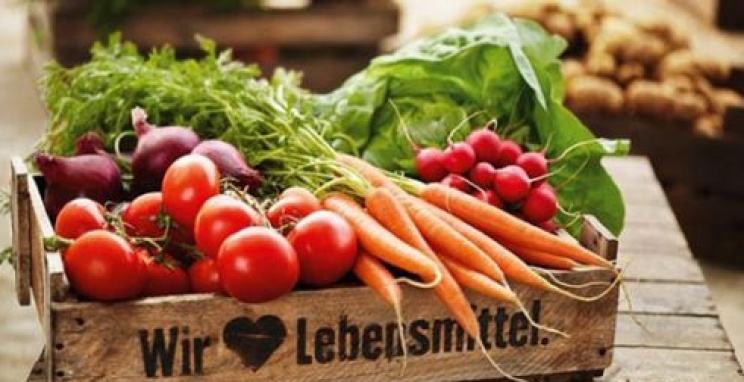 百果园的运营流程与盈利模式,百果园的运营与盈利模式