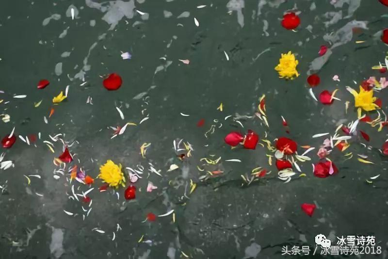 「诗家风采」杜先刚｜归乡偶记