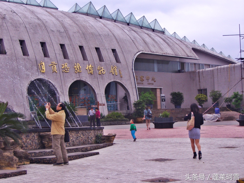 自贡恐龙博物馆展示是真恐龙吗,自贡恐龙博物馆可以现场购票吗