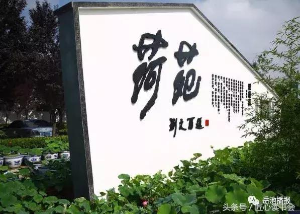 荷花节广安,岳池白庙荷花基地