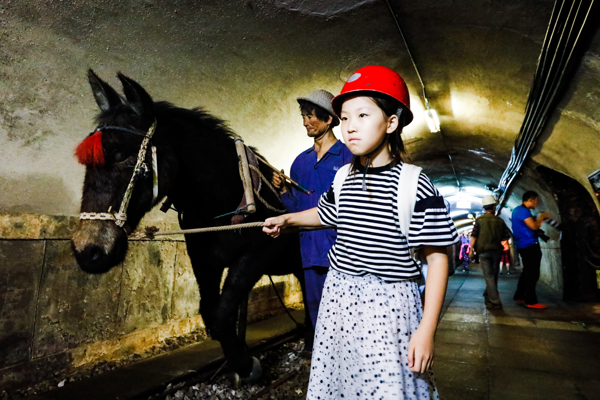 唐山研学地方,唐山研学好去处