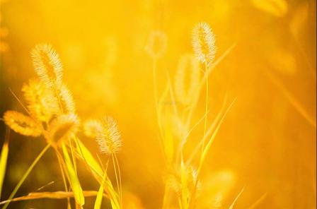 重名难免闹误会原文,重名造成的问题