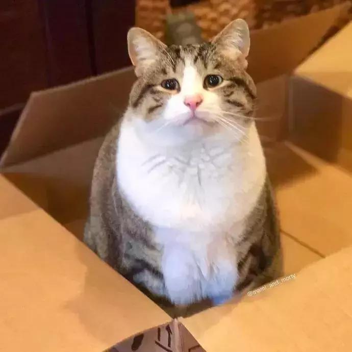 八字眉三角眼短命相,天生眉眼下垂