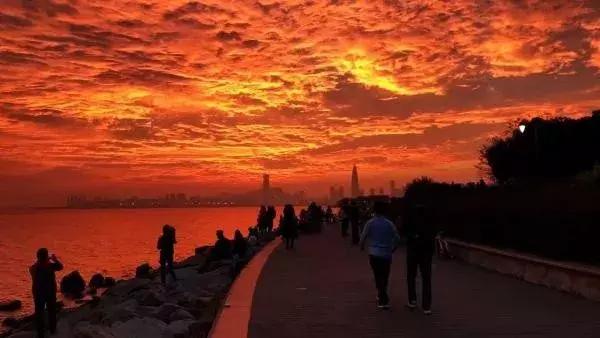 我叫深圳，这是我的个人简历，请查看！