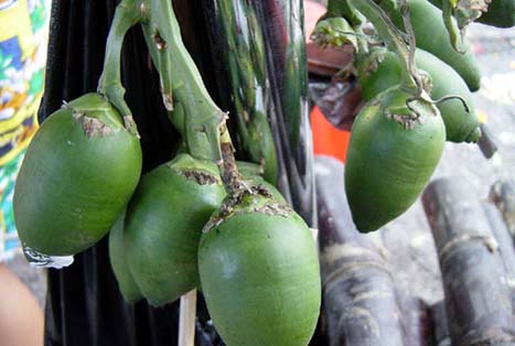 槟榔行气效果,槟榔化痰止咳