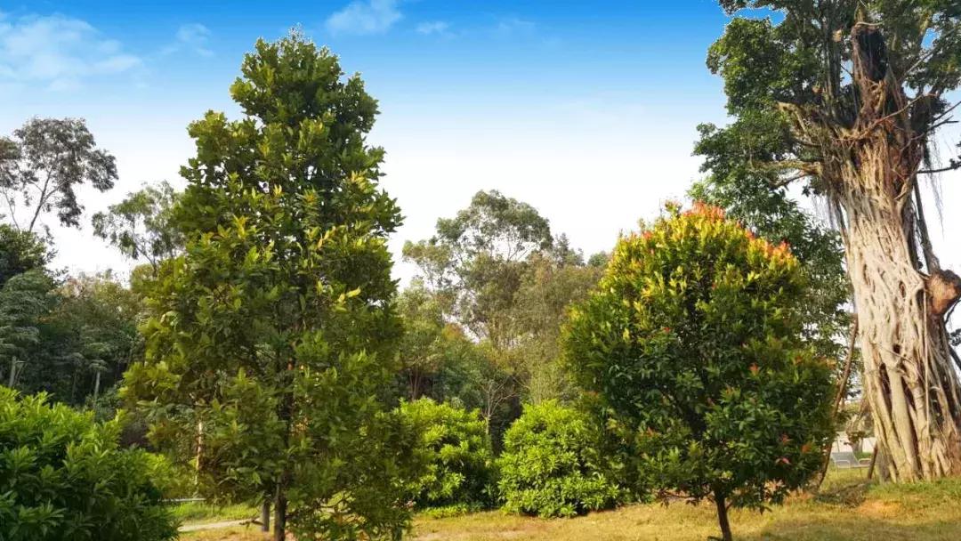 广东省技工教育招生院校名单,广东高级技工学校在哪