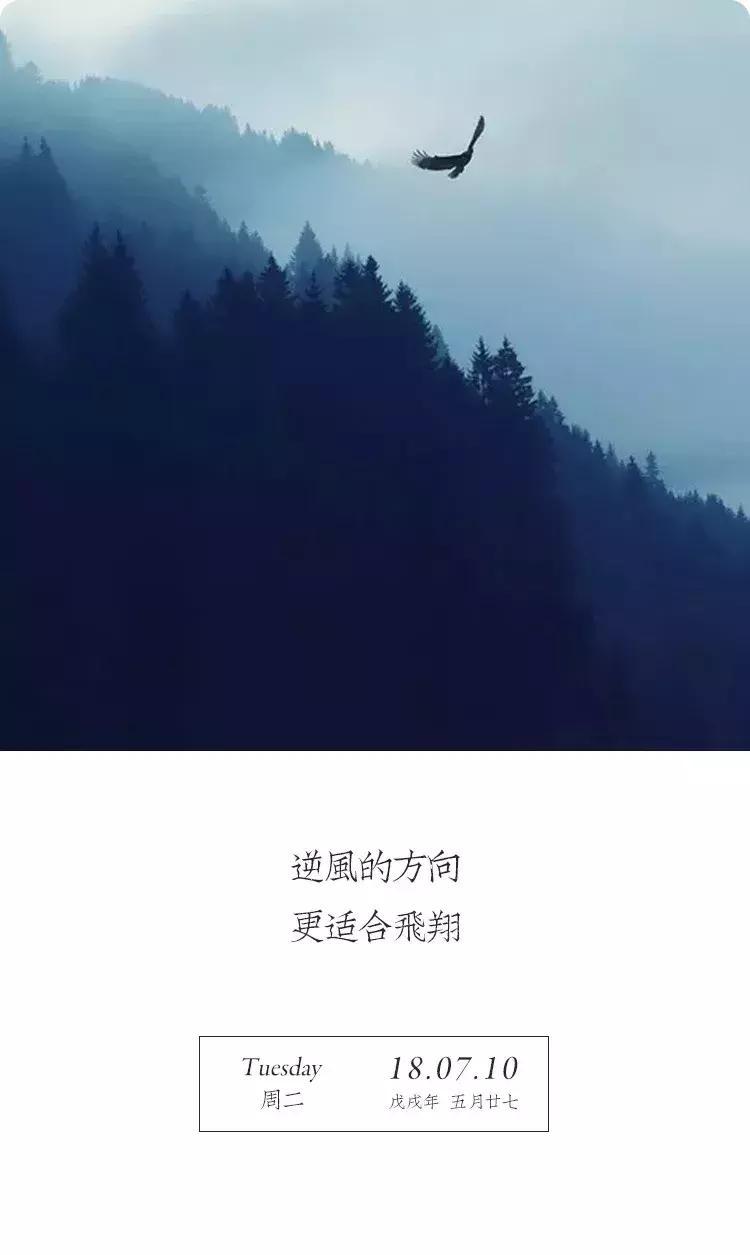 瓷器中优秀的代表,瓷器中的大人物