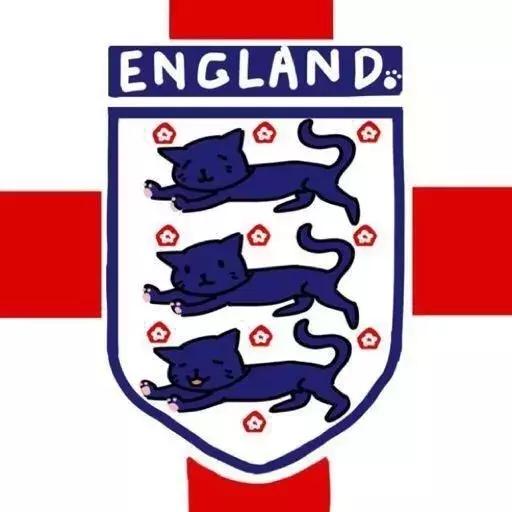 锦湖说世界杯：带你胡侃世界杯之三喵军团（爆笑图文，不容错过）