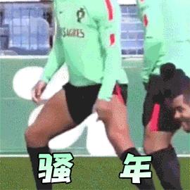 世界杯表情包emoji,世界杯吉祥物表情包