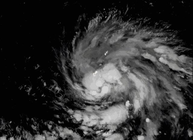 码住不亏!暑期档电影“无锡籍”黄金阵容,了解一下~