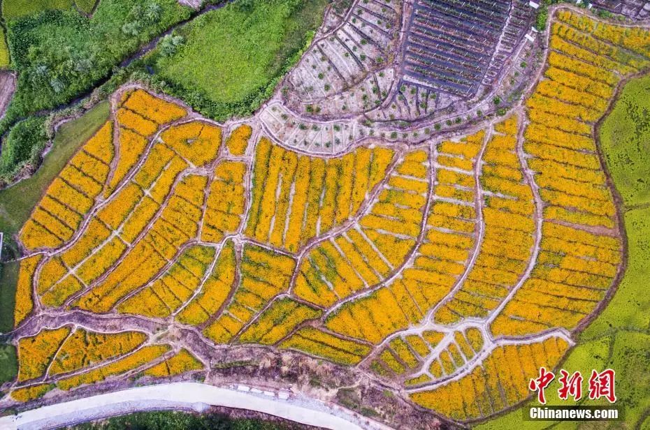 国学经典金句释义,国学经典醍醐灌顶豁然顿悟