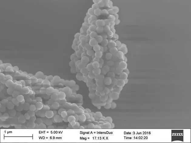 微观世界|这样的世界杯,你见过吗?