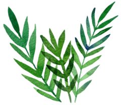 姨妈期真的不能吃辣吗,姨妈期真的不能打耳洞吗