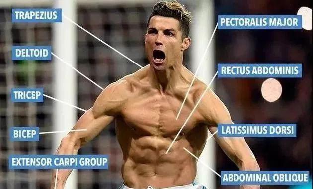 克里斯蒂亚罗纳尔多里奥梅西,克里斯蒂亚诺罗纳尔多永不服输