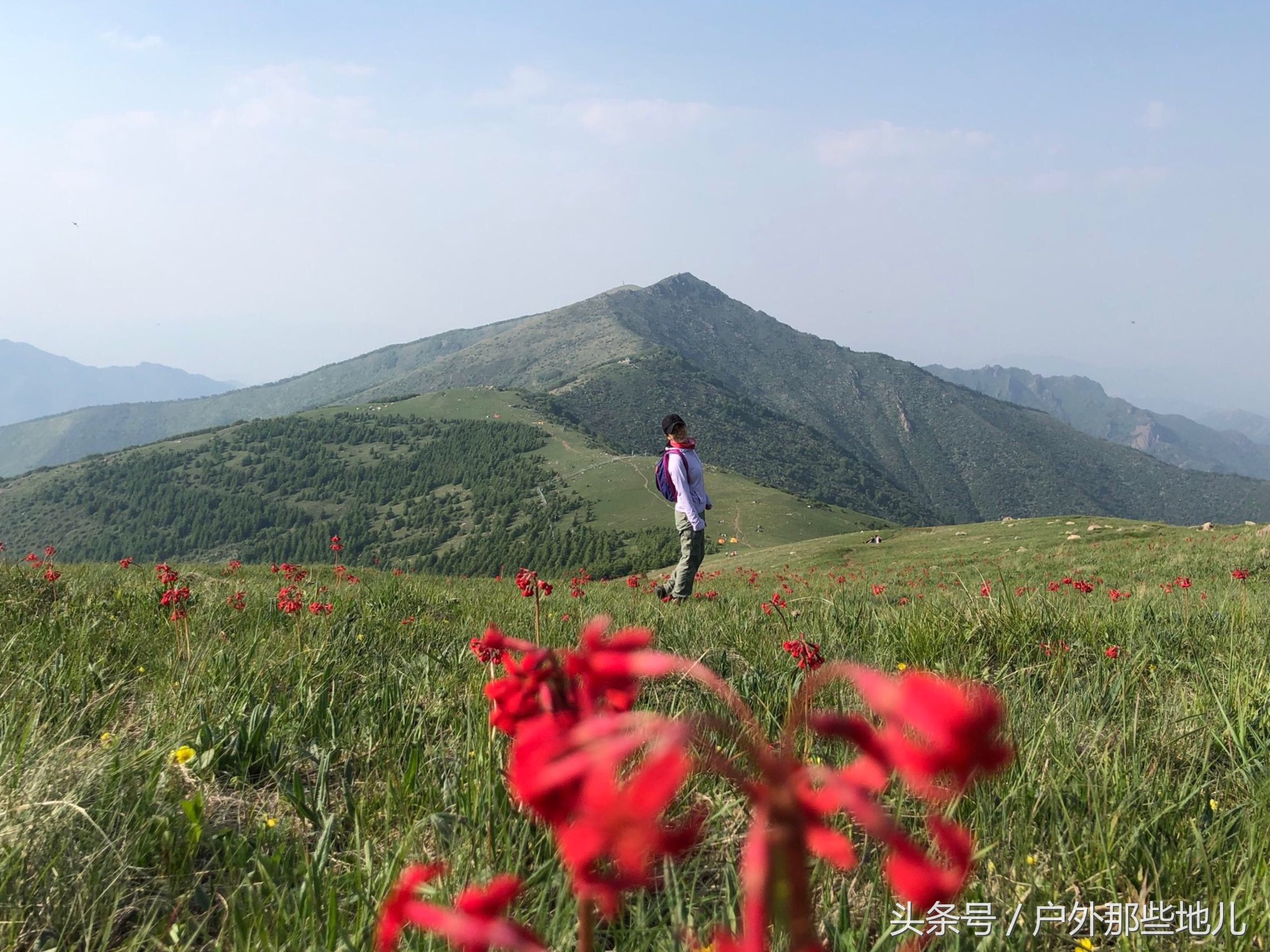 北京延庆小海坨山有什么好玩的,延庆海坨山一日游攻略