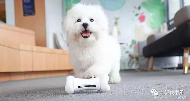 可发声玩具狗狗,会说话的宠物玩具耐咬解闷神器