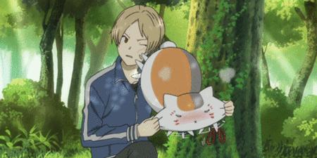 动漫中的猫咪都有哪些,盘点各种动漫猫咪