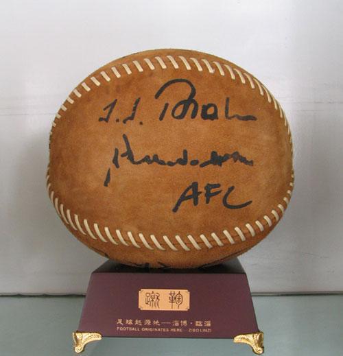 激情世界杯,世界上最激情的一场足球比赛