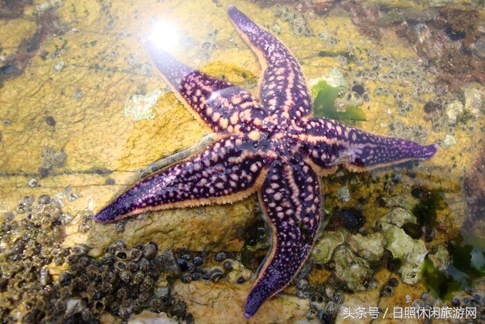 日照房价,日照金山