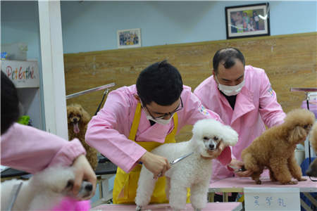 学美容包括哪些方面,学美容好吗前途怎样