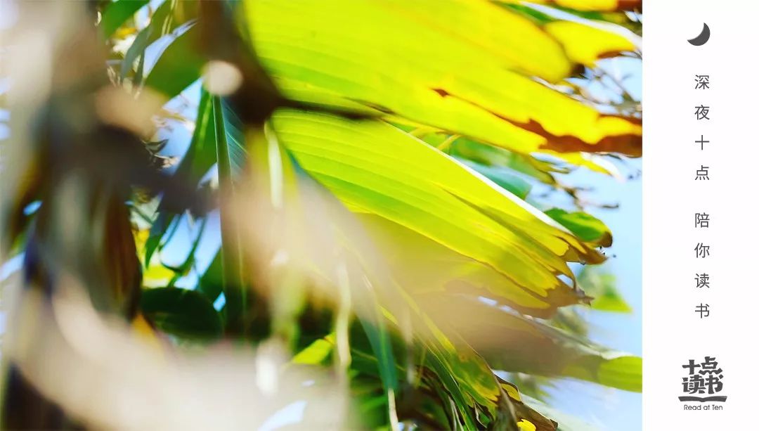 会说话的人不能深交,说话的人一定要深交吗