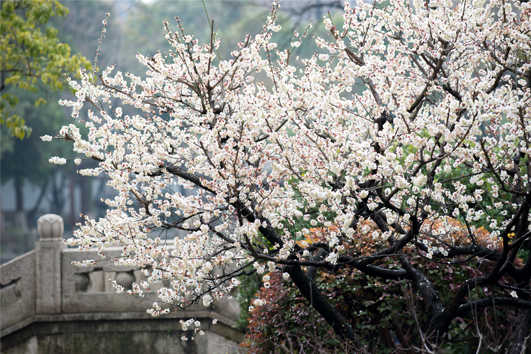 高铁三日游哪里好玩,高铁可以两天一日游玩的地方