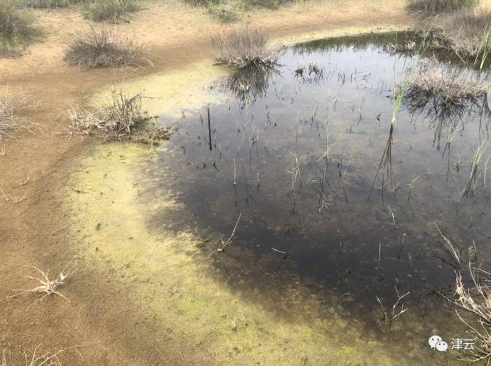 津云调查最新一期视频,津云调查